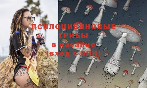 эйфоретик Аркадак