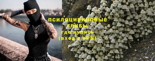эйфоретик Аркадак