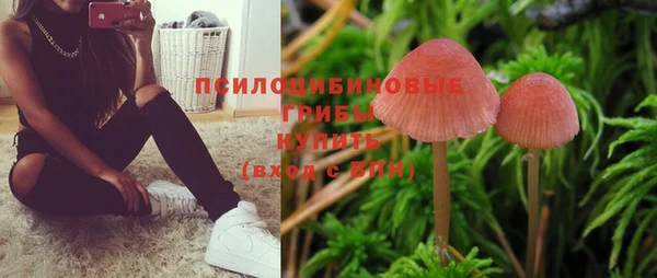 эйфоретик Аркадак